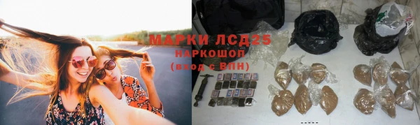 дурь Аркадак