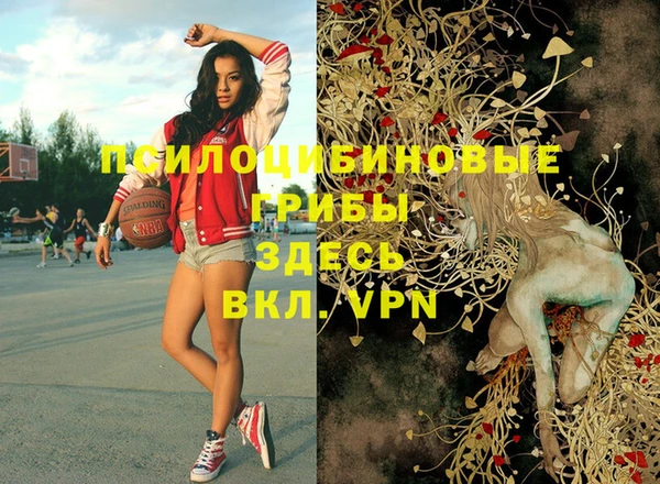 spice Арсеньев