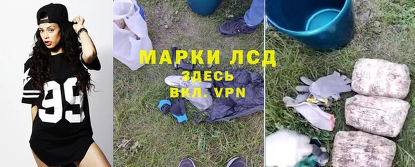 spice Арсеньев