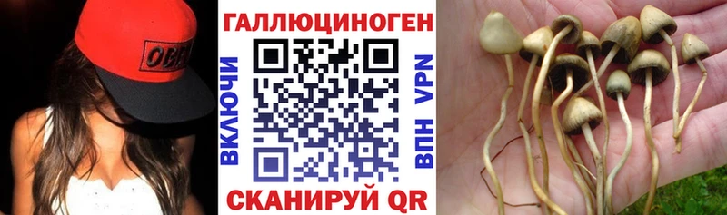 Псилоцибиновые грибы ЛСД  Купить закладки  Лысково 